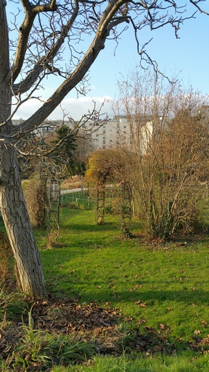 parc urbain