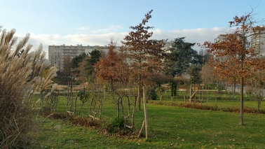 saint gratien 2019-3