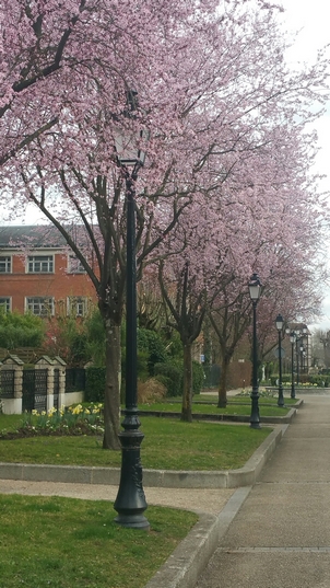 saint gratien 2019-7