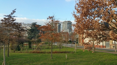 20181214_145236_resized